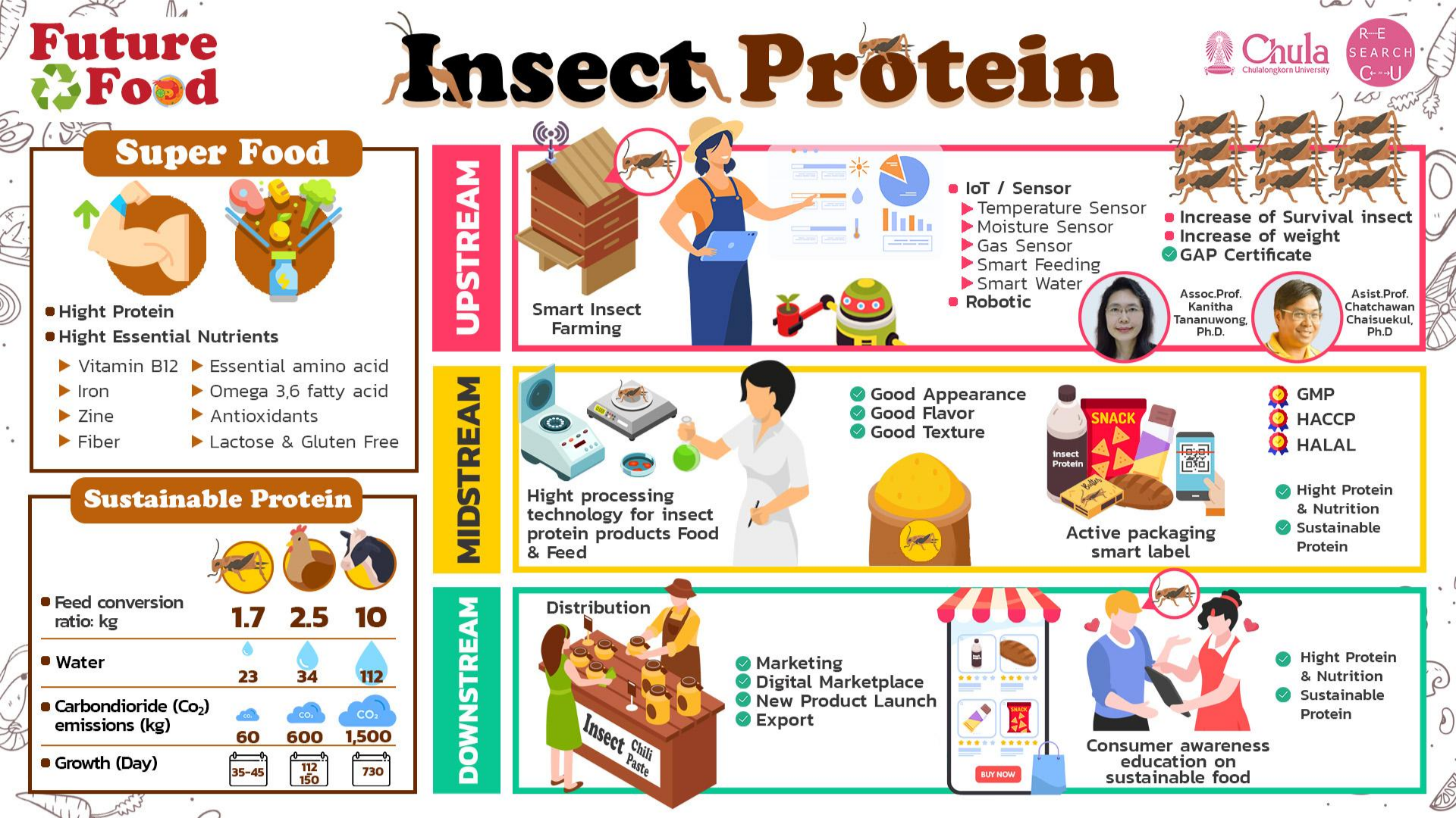 Insect Protein.png